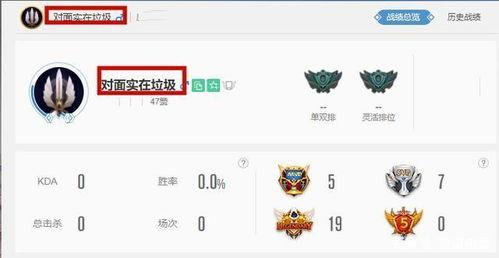 娱乐吃瓜对标账号是什么,揭秘娱乐圈“吃瓜群众”背后的热门对标账号