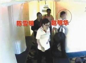 娱乐吃瓜酱法官