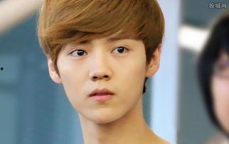 娱乐圈吃瓜猛料鹿晗,揭秘明星背后的故事